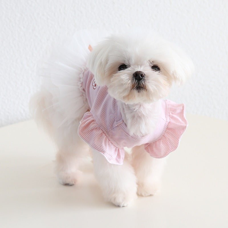 Layered Lace Dress Dog Clothes - PIKAPIKA