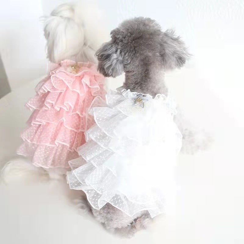Layered Lace Dress Dog Clothes - PIKAPIKA