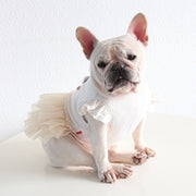 Layered Lace Princess Dog Dress Dog Clothes - PIKAPIKA