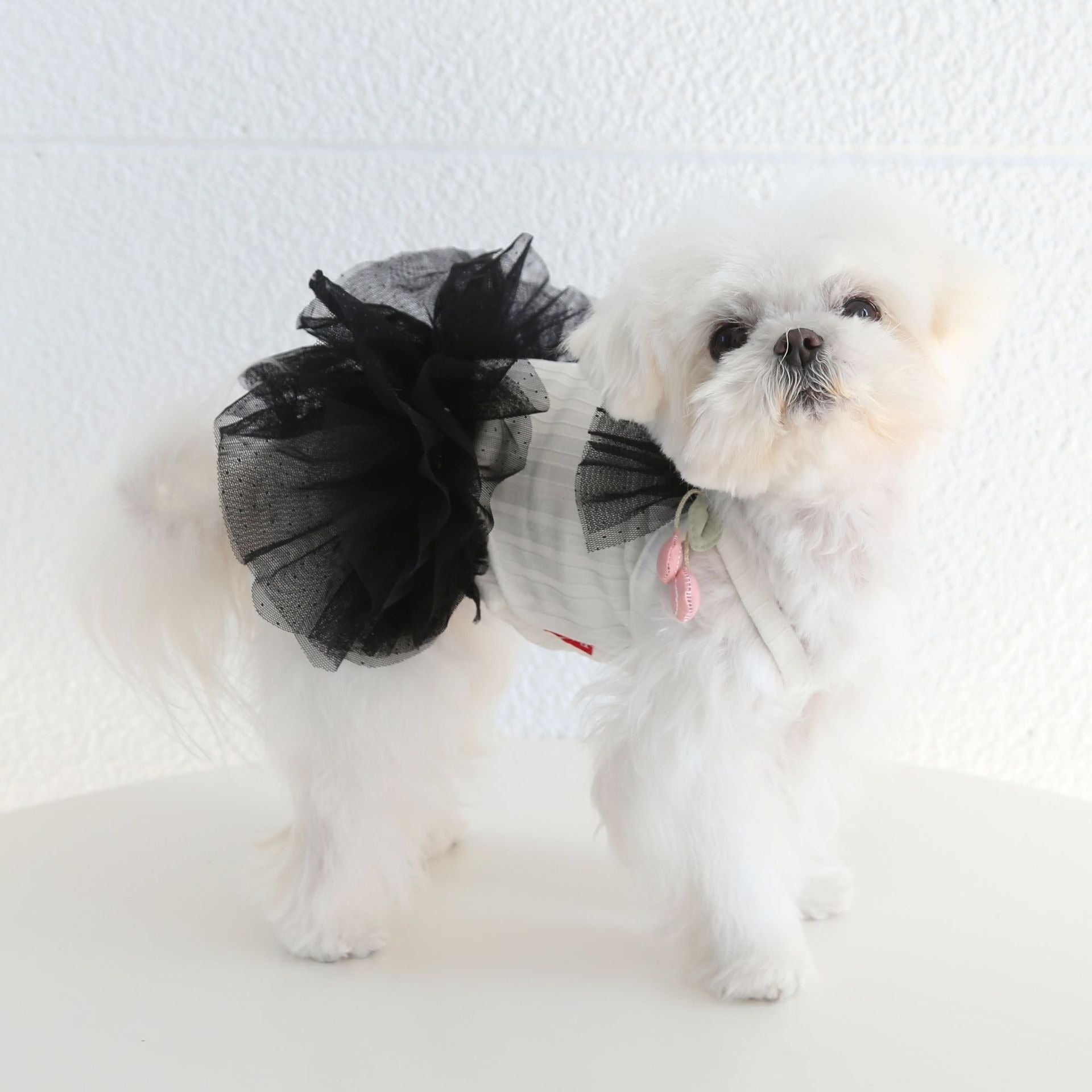 Layered Lace Princess Dog Dress Dog Clothes - PIKAPIKA