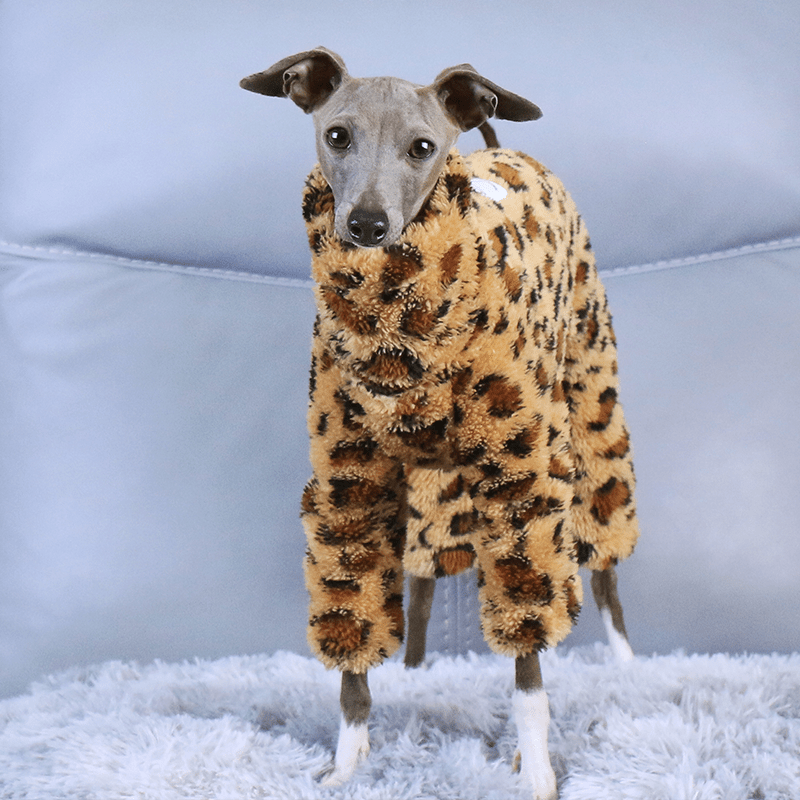 Leopard Print Fleece Onesies Italian Greyhound Whippet Dog Clothes - PIKAPIKA
