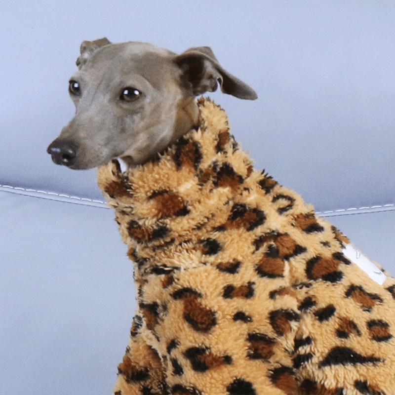 Leopard Print Fleece Onesies Italian Greyhound Whippet Dog Clothes - PIKAPIKA