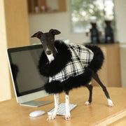 Lightweight Autumn Cloak Coat for Italian Greyhound - PIKAPIKA