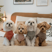 Lightweight Brushed Cotton Tank Top for Toy Dogs - PIKAPIKA