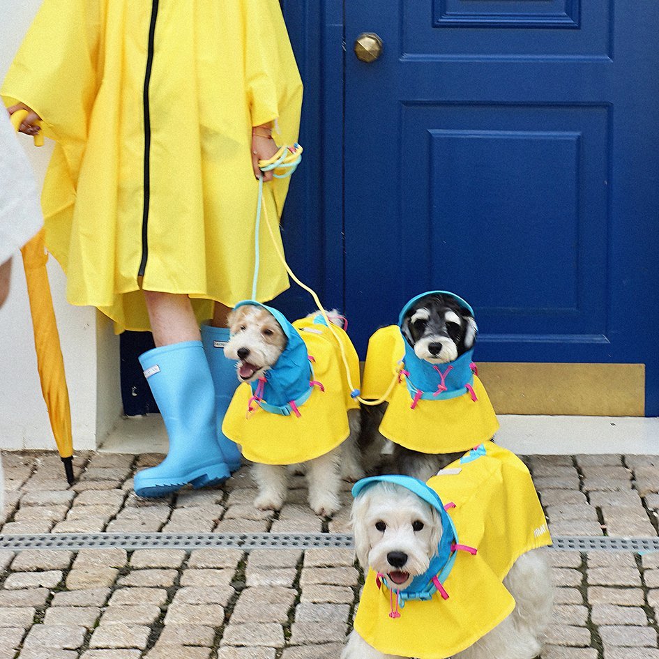 Lightweight Colorblock Outdoor Raincoat for Pets – Adjustable Fit - PIKAPIKA