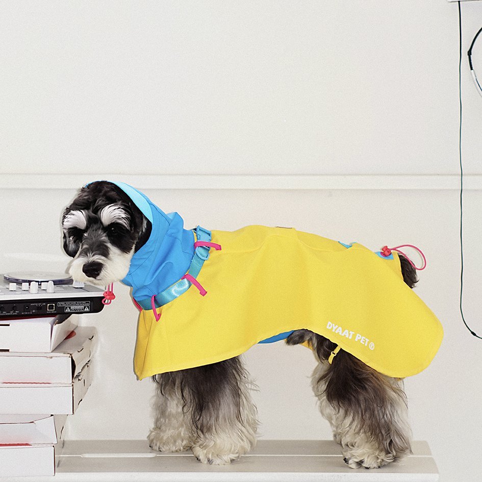 Lightweight Colorblock Outdoor Raincoat for Pets – Adjustable Fit - PIKAPIKA