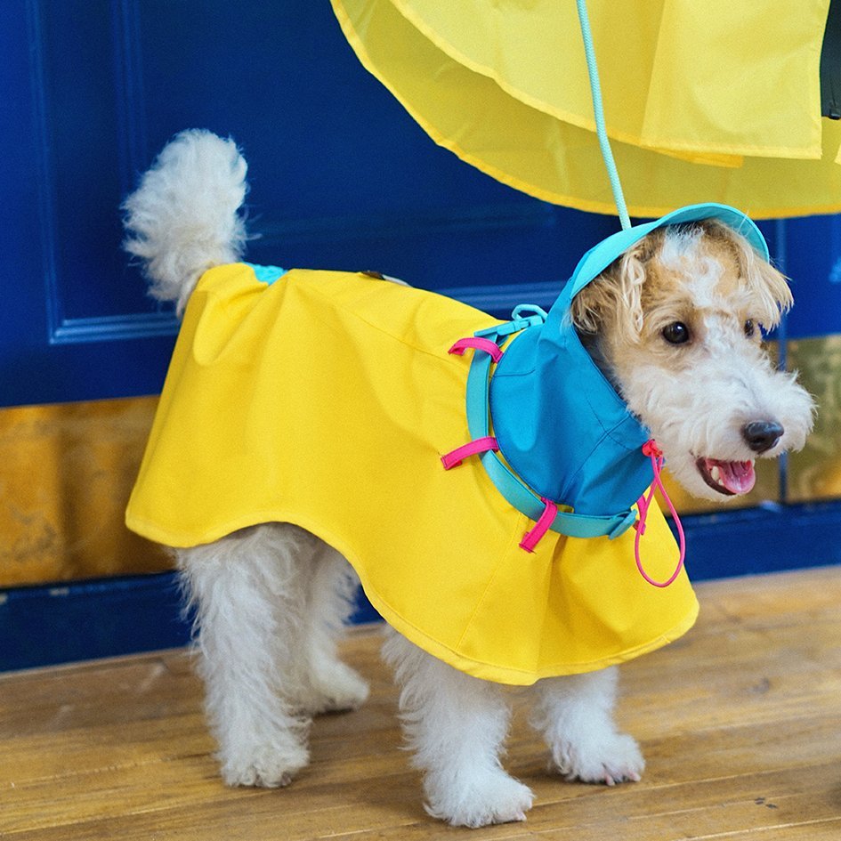 Lightweight Colorblock Outdoor Raincoat for Pets – Adjustable Fit - PIKAPIKA