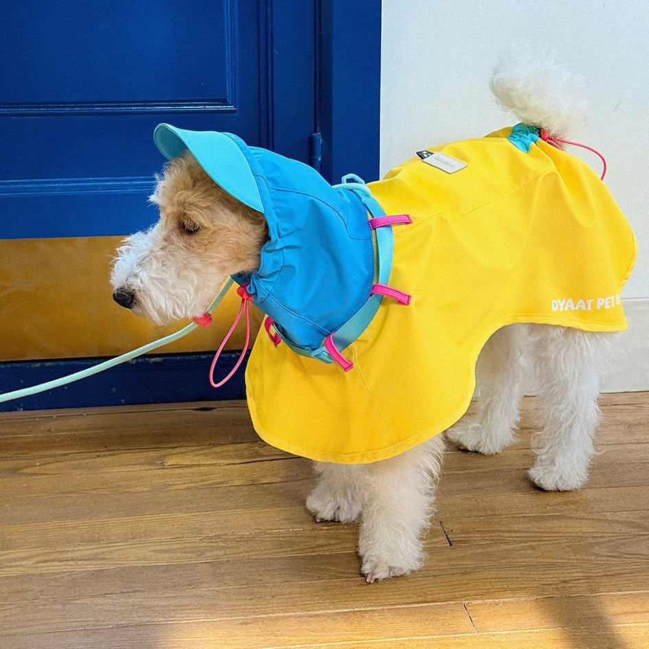 Lightweight Colorblock Outdoor Raincoat for Pets – Adjustable Fit - PIKAPIKA