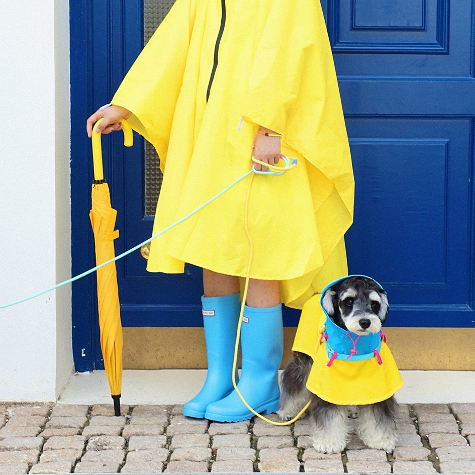 Lightweight Colorblock Outdoor Raincoat for Pets – Adjustable Fit - PIKAPIKA