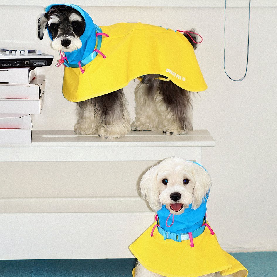 Lightweight Colorblock Outdoor Raincoat for Pets – Adjustable Fit - PIKAPIKA