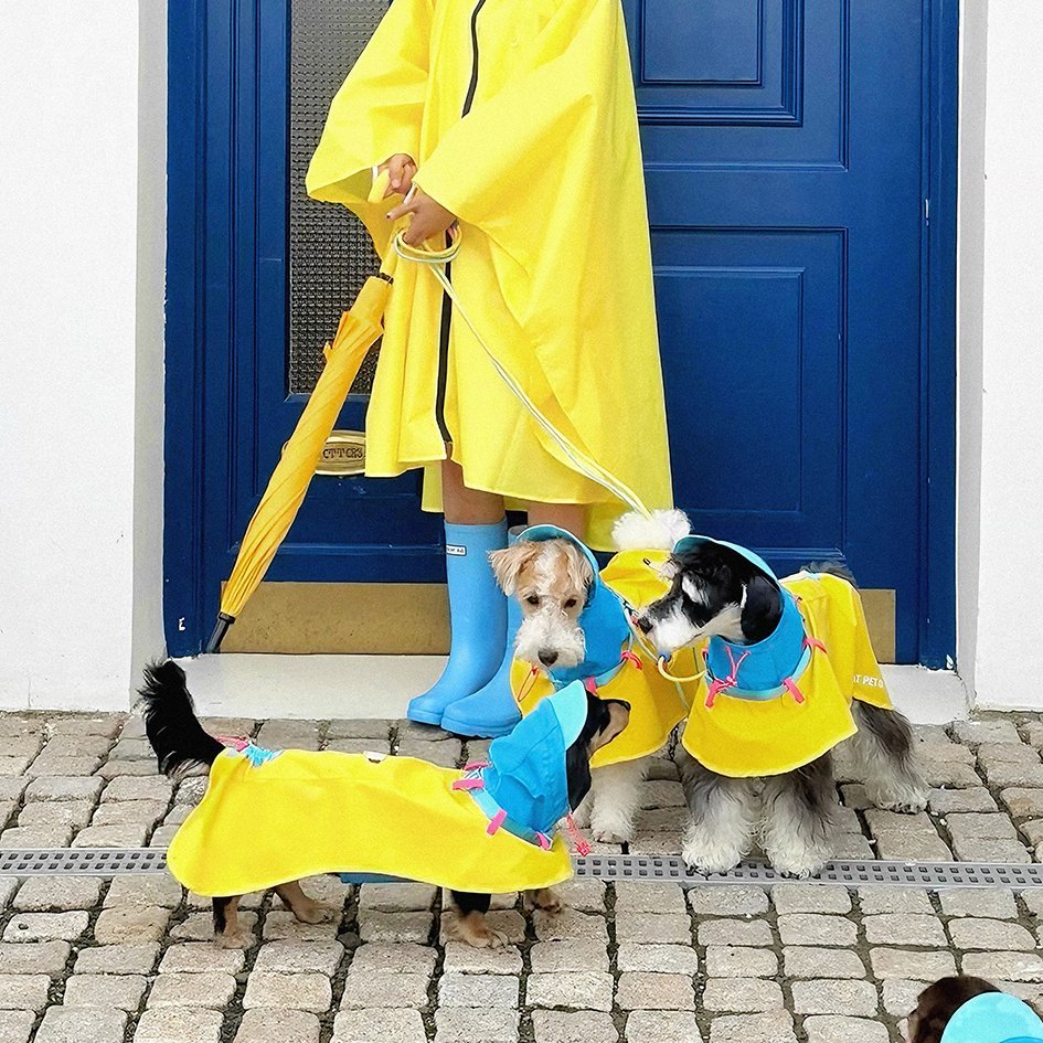 Lightweight Colorblock Outdoor Raincoat for Pets – Adjustable Fit - PIKAPIKA