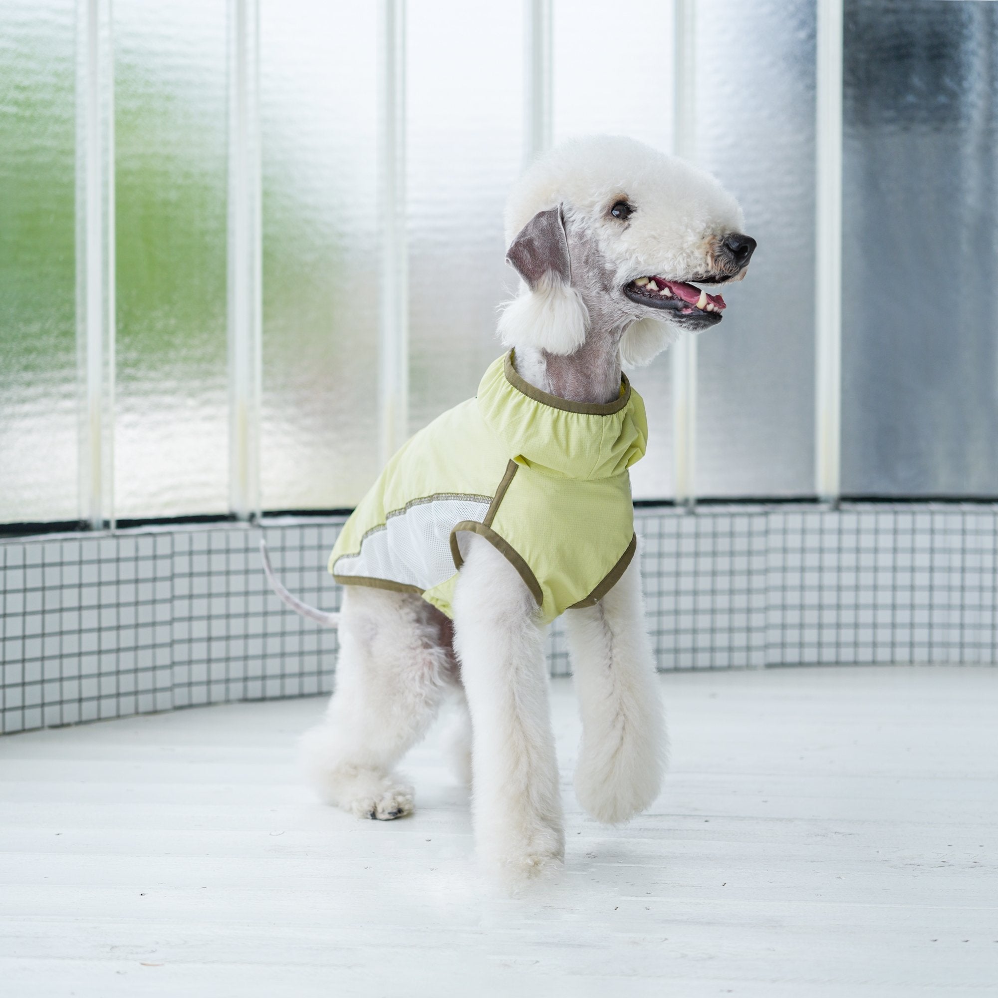 Lightweight Cooling Shirt UPF50+ Summer Wear for Dogs - PIKAPIKA