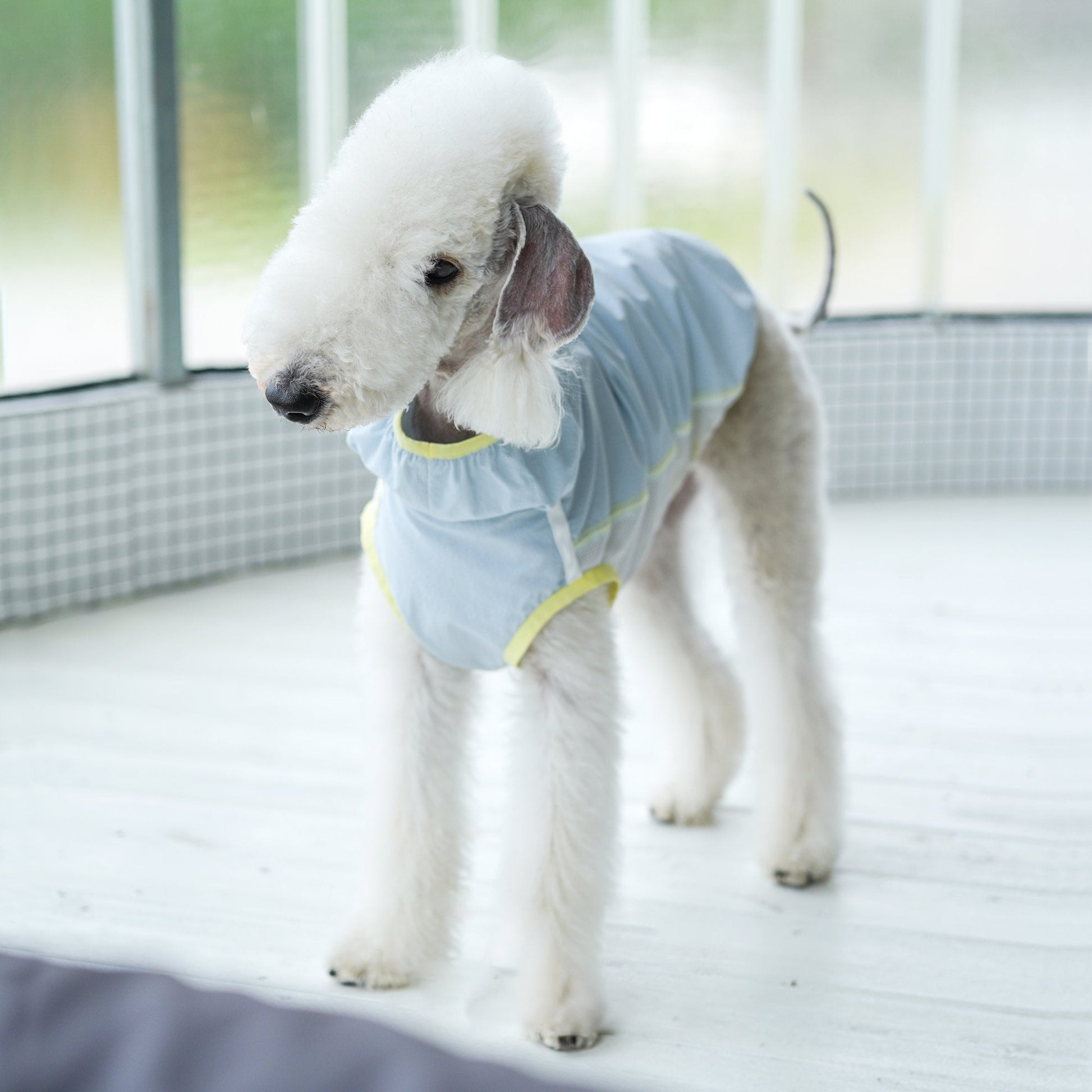 Lightweight Cooling Shirt UPF50+ Summer Wear for Dogs - PIKAPIKA