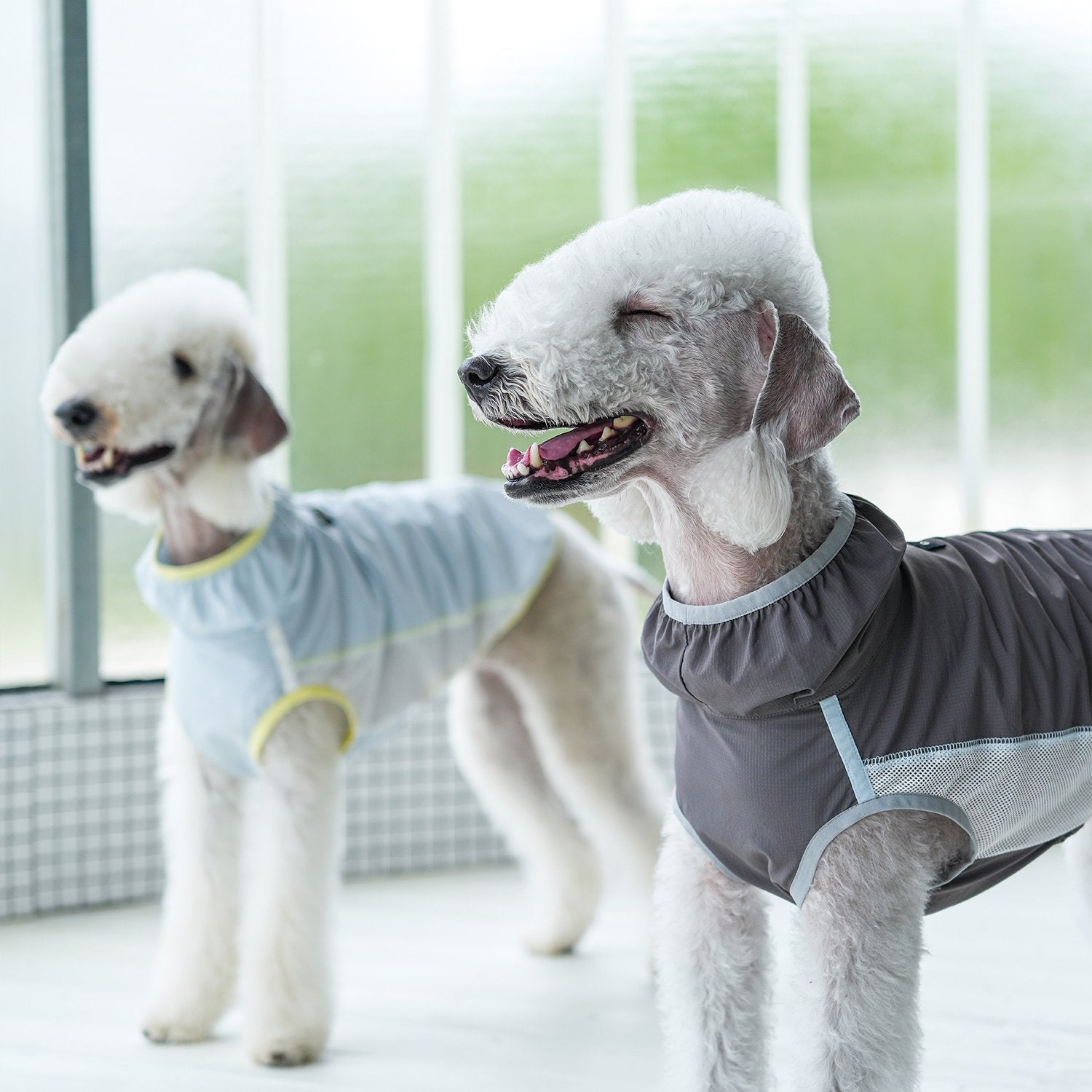 Lightweight Cooling Shirt UPF50+ Summer Wear for Dogs - PIKAPIKA