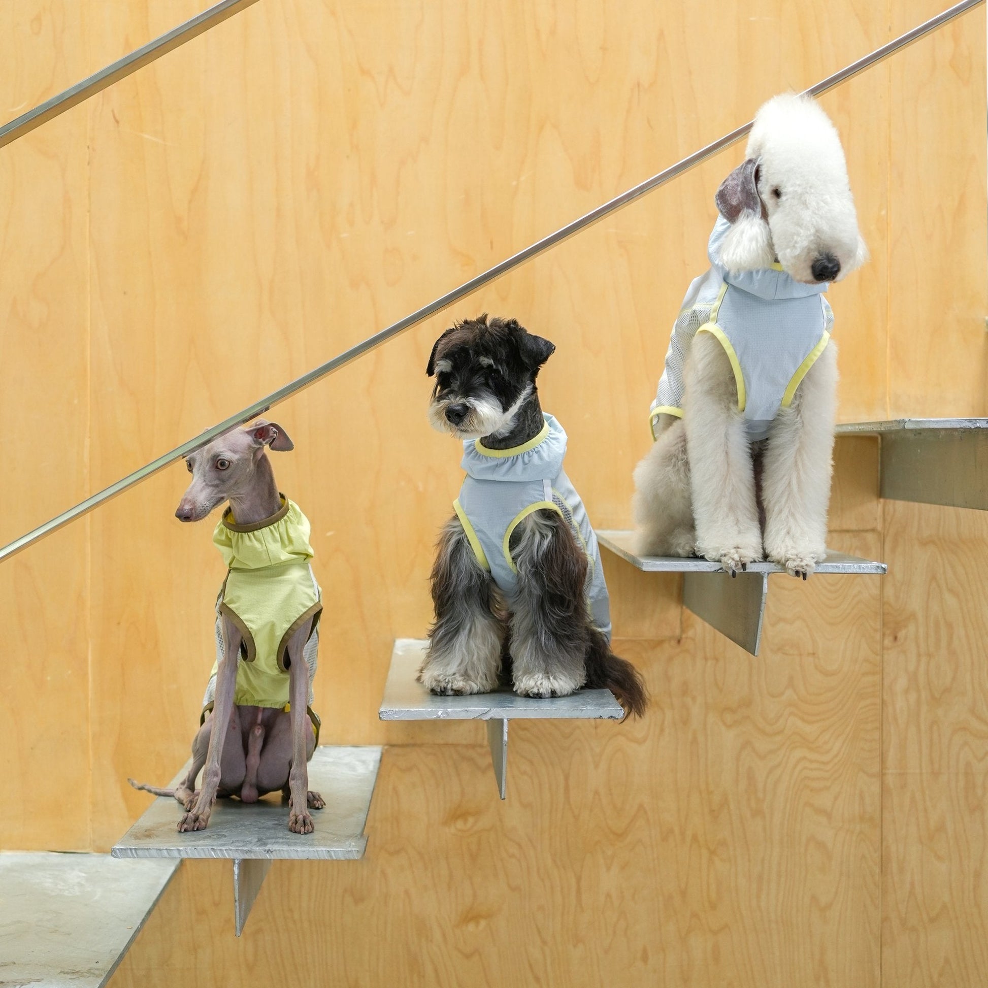 Lightweight Cooling Shirt UPF50+ Summer Wear for Dogs - PIKAPIKA