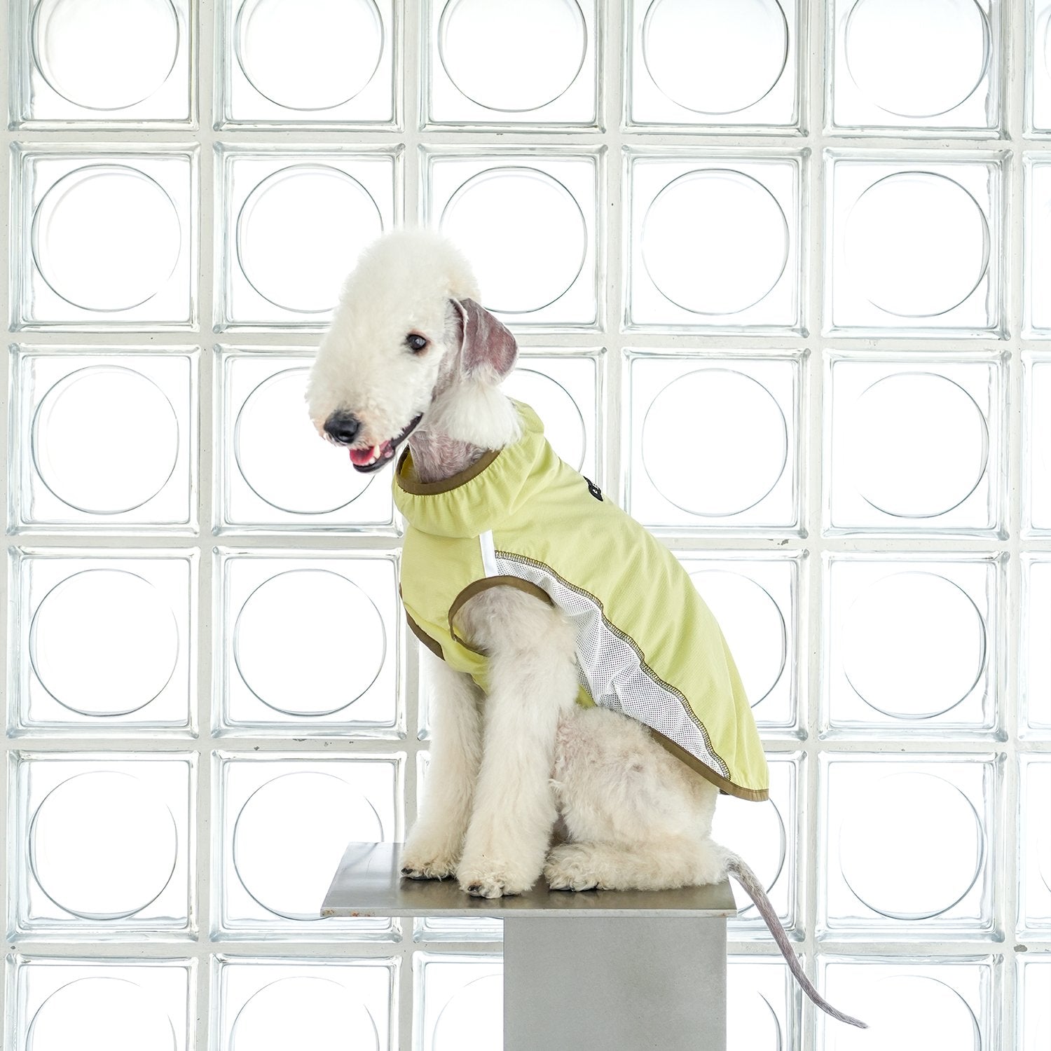 Lightweight Cooling Shirt UPF50+ Summer Wear for Dogs - PIKAPIKA