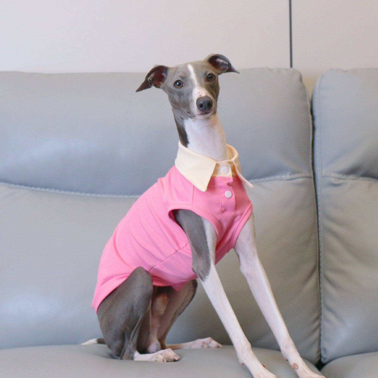 Lightweight Polo Shirt Pink Summer Wear for Sighthound Breeds - PIKAPIKA