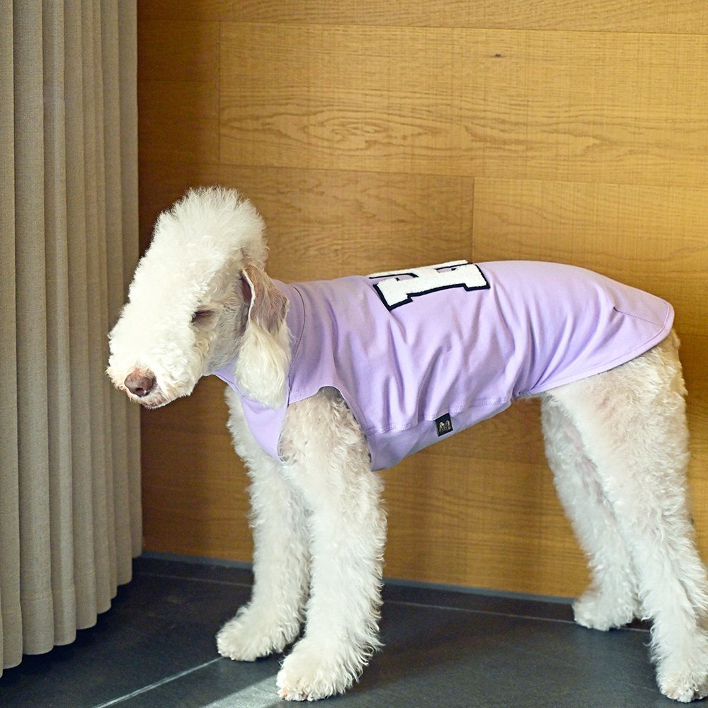 Lightweight Summer Vest Sleeveless Bedlington Terrier - PIKAPIKA