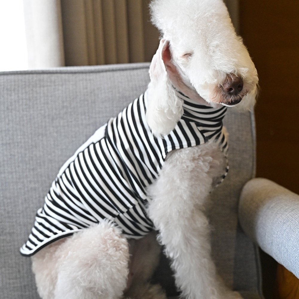 Lightweight Summer Vest Sleeveless Bedlington Terrier - PIKAPIKA