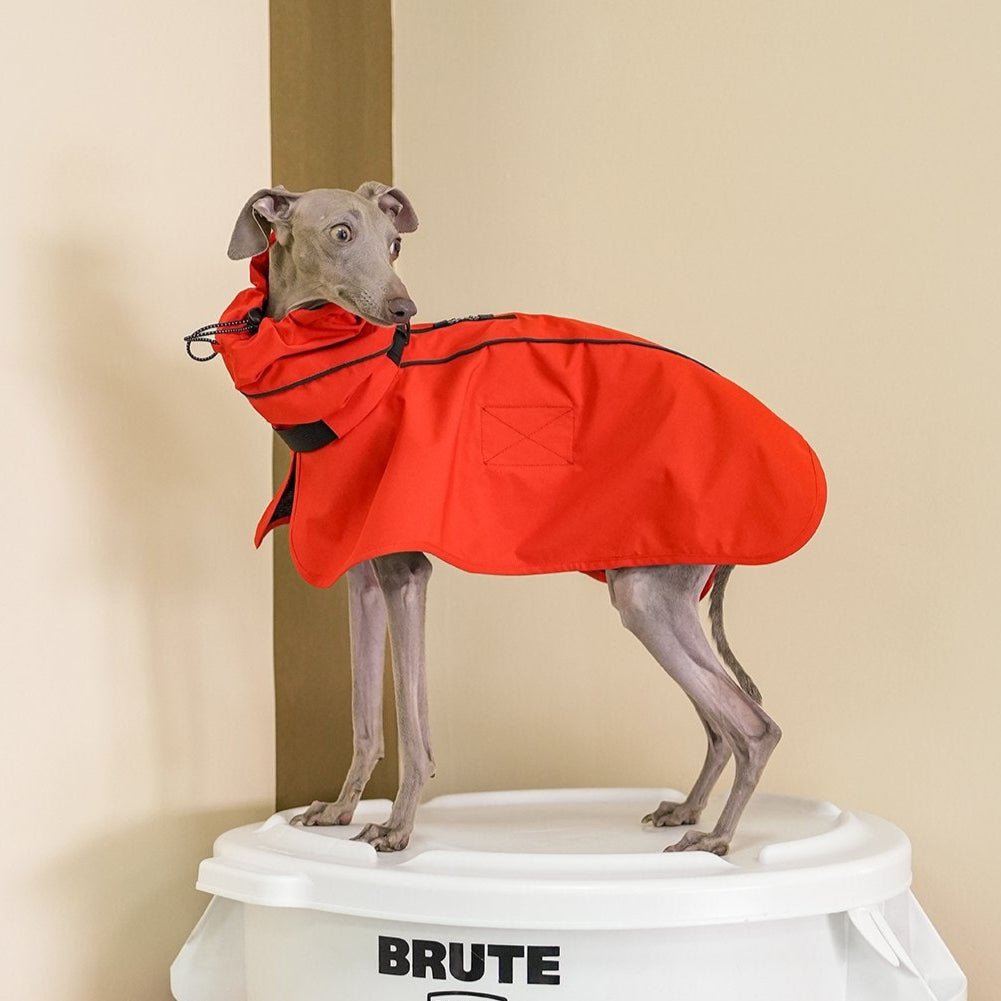 Lightweight Water - Repellent Cape Raincoat - PIKAPIKA