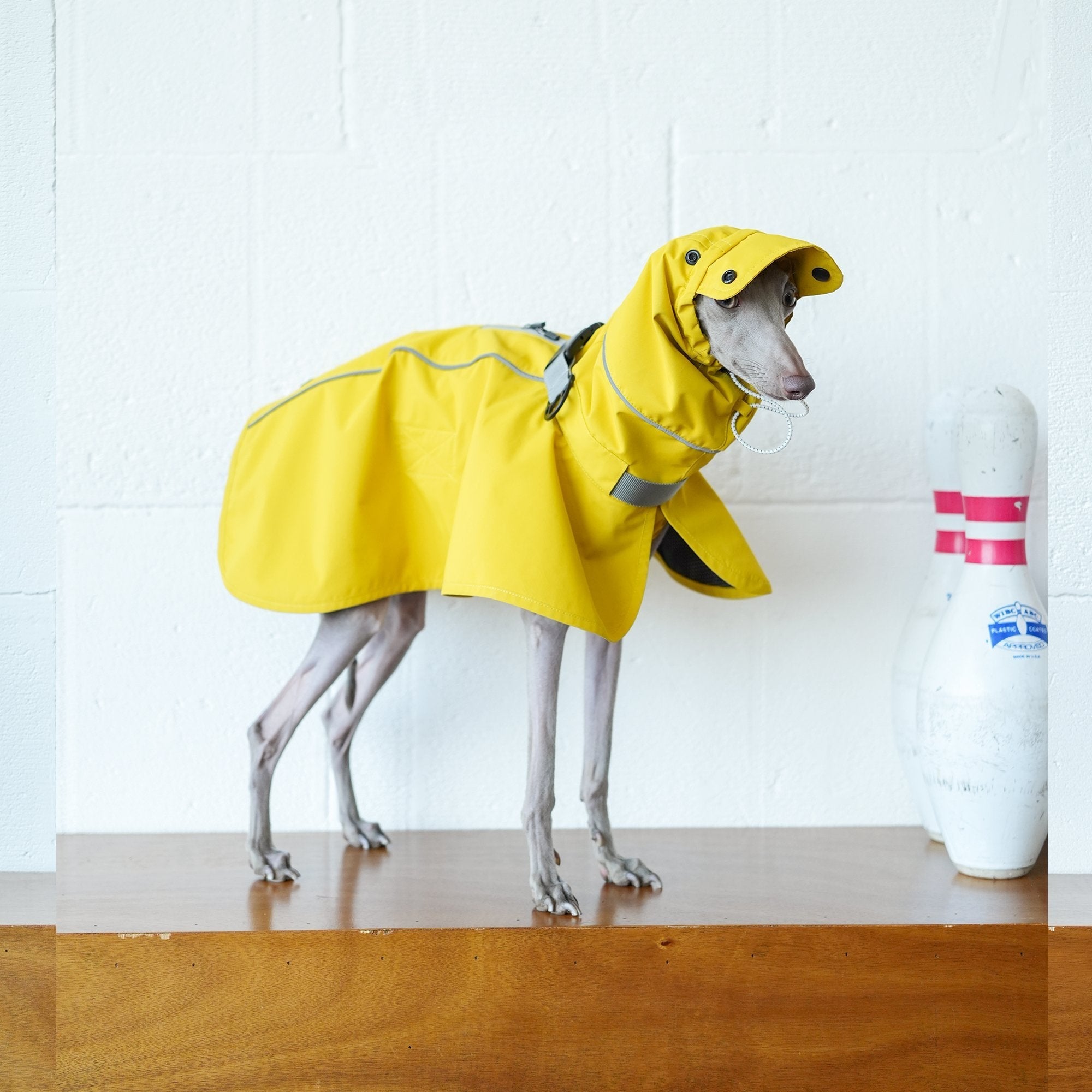 Lightweight Water - Repellent Cape Raincoat - PIKAPIKA