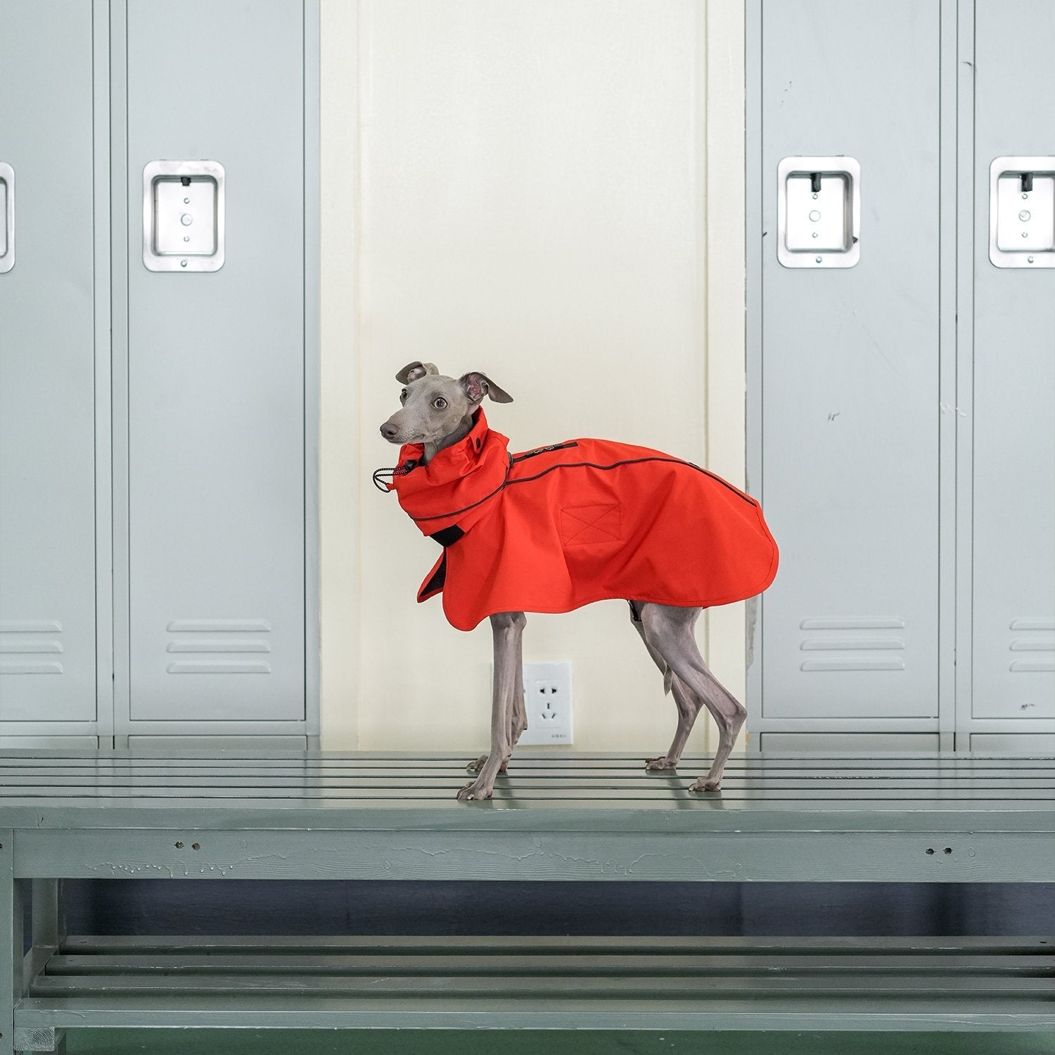 Lightweight Water - Repellent Cape Raincoat - PIKAPIKA