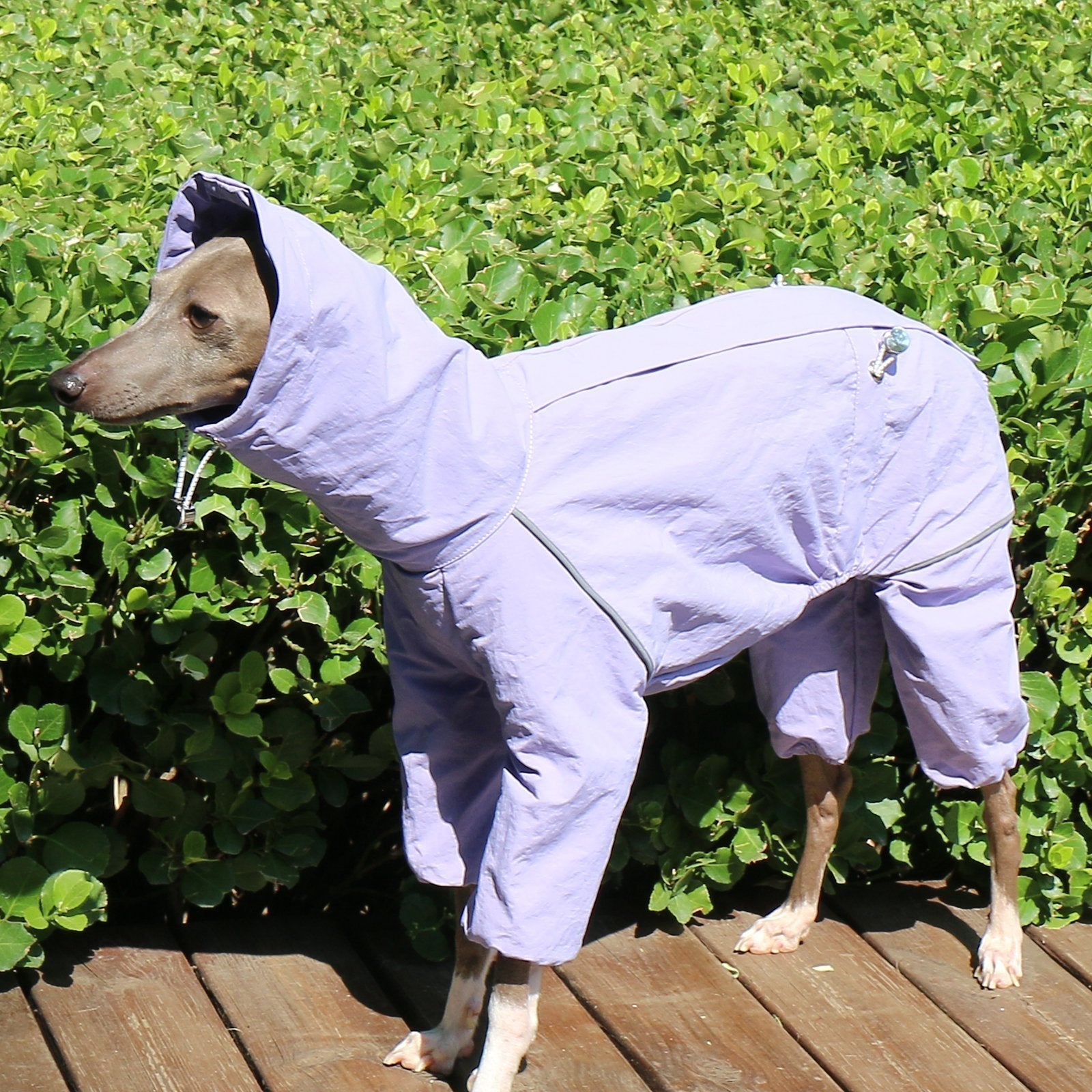 Lightweight Waterproof Jacket Highneck Zip Raincoat for Sighthound Breeds - PIKAPIKA