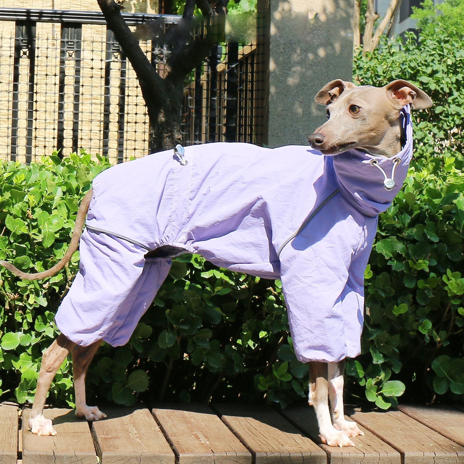 Lightweight Waterproof Jacket Highneck Zip Raincoat for Sighthound Breeds - PIKAPIKA