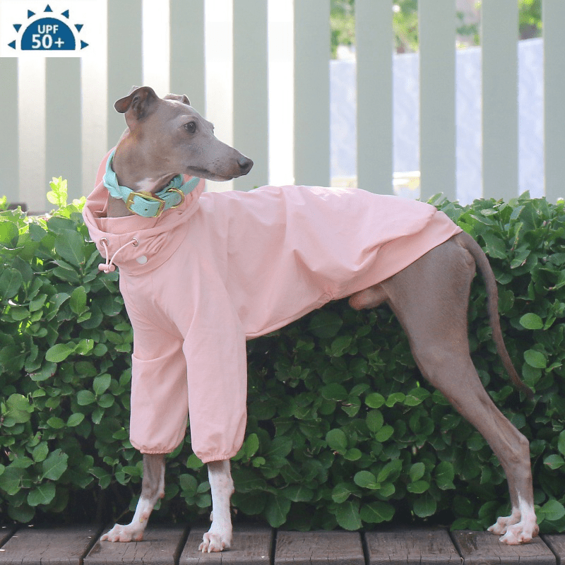 Lightweight Waterproof Sunproof Detachable Sun Hat Whippet Dog Clothes - PIKAPIKA