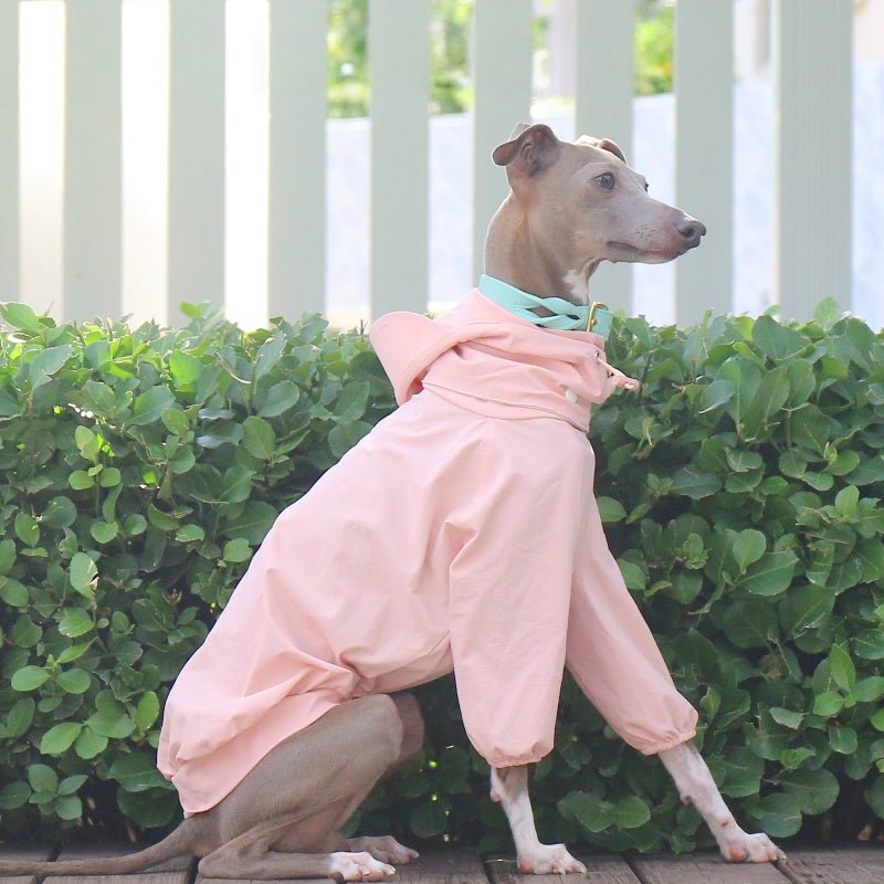 Lightweight Waterproof Sunproof Detachable Sun Hat Whippet Dog Clothes - PIKAPIKA