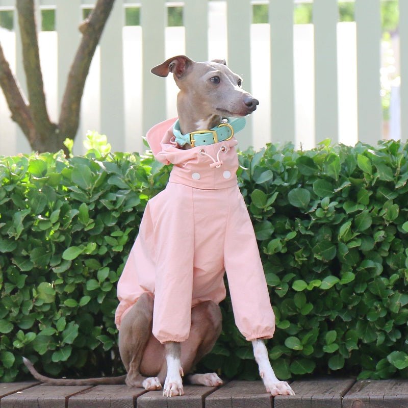 Lightweight Waterproof Sunproof Detachable Sun Hat Whippet Dog Clothes - PIKAPIKA