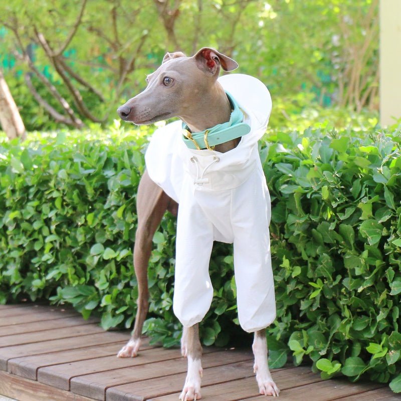 Lightweight Waterproof Sunproof Whippet Dog Hoodie - PIKAPIKA