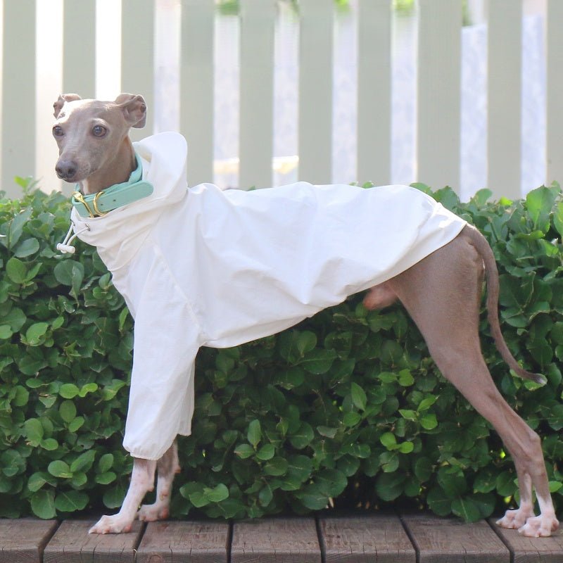 Lightweight Waterproof Sunproof Whippet Dog Hoodie - PIKAPIKA