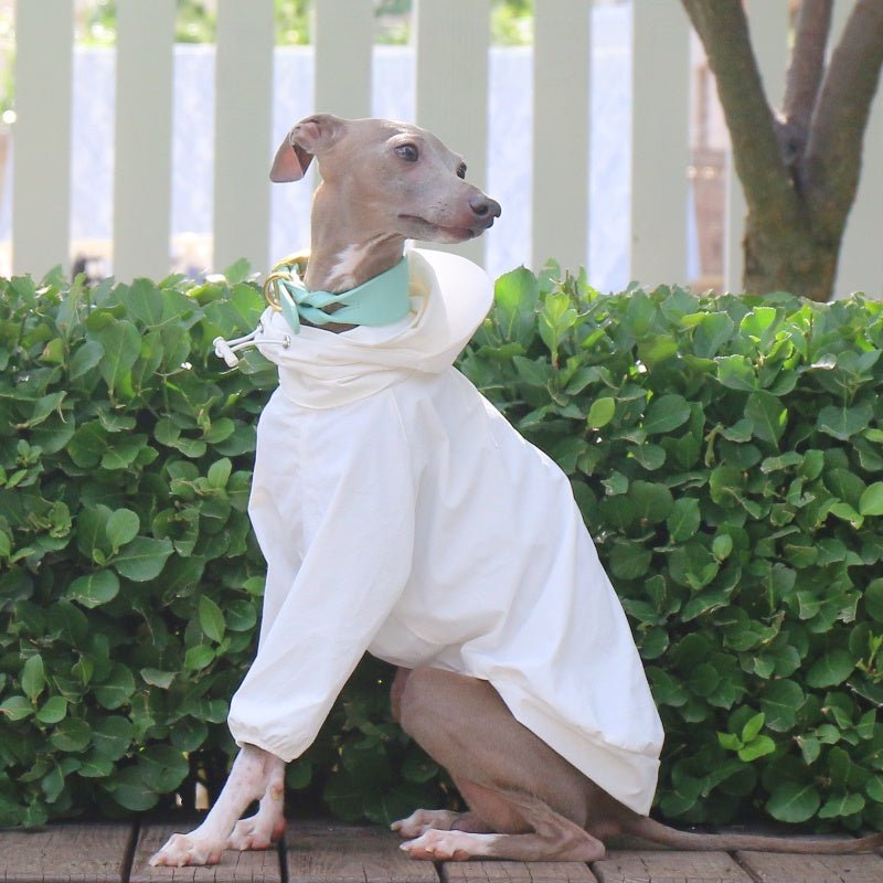 Lightweight Waterproof Sunproof Whippet Dog Hoodie - PIKAPIKA