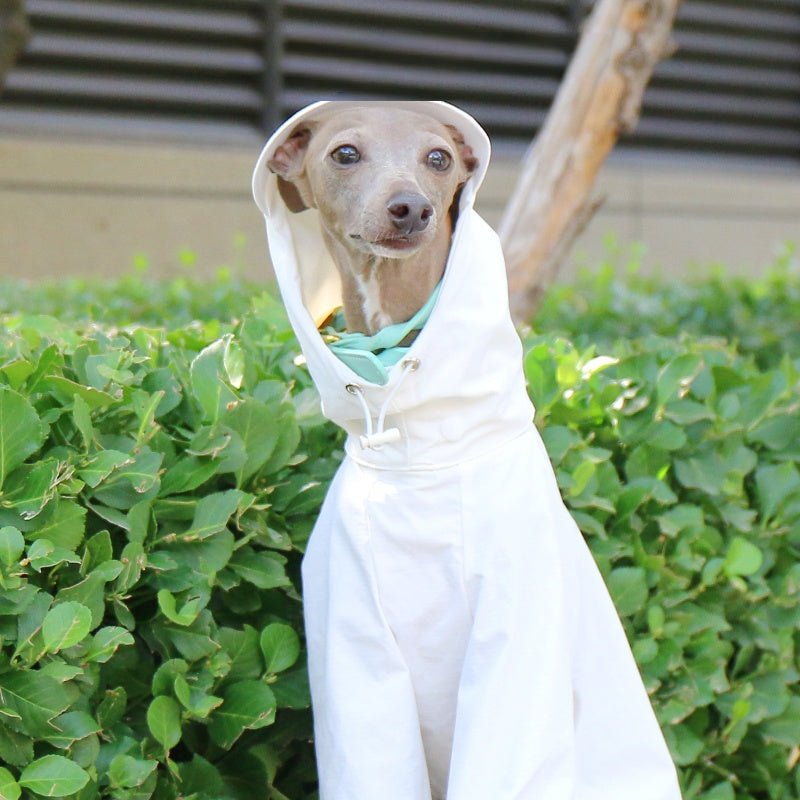 Lightweight Waterproof Sunproof Whippet Dog Hoodie - PIKAPIKA