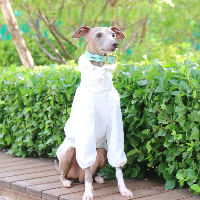 Lightweight Waterproof Sunproof Whippet Dog Hoodie - PIKAPIKA