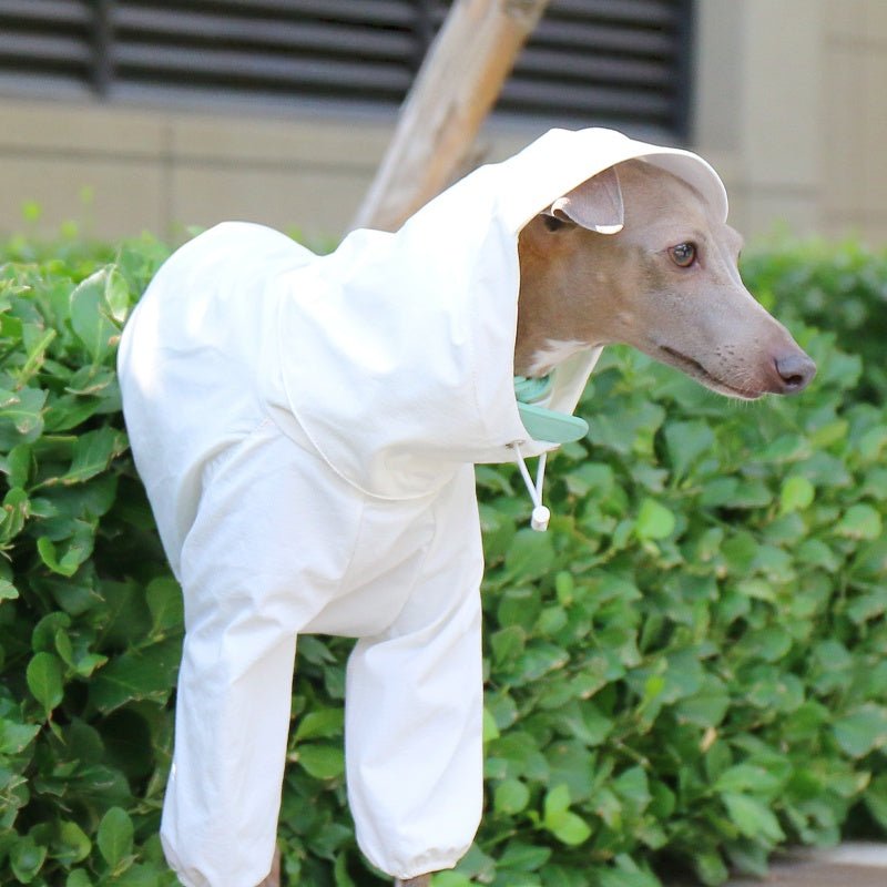 Lightweight Waterproof Sunproof Whippet Dog Hoodie - PIKAPIKA