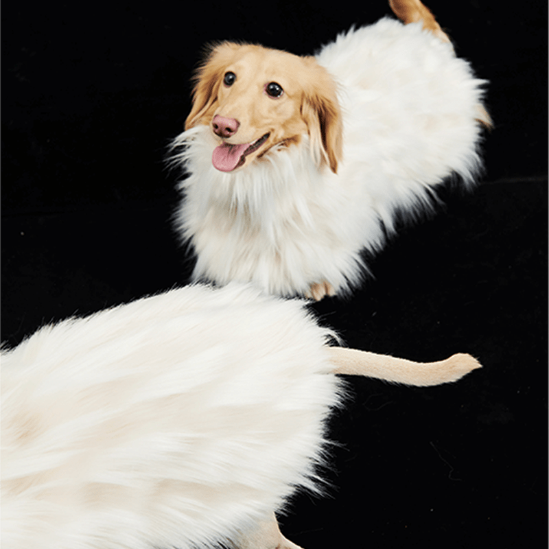 Luxury Dog Clothes Faux Fur Cape for Italian Greyhound Whippet - PIKAPIKA