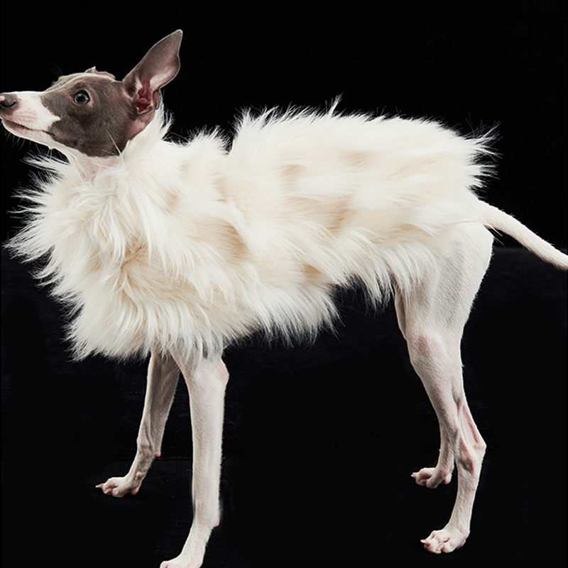 Luxury Dog Clothes Faux Fur Cape for Italian Greyhound Whippet - PIKAPIKA