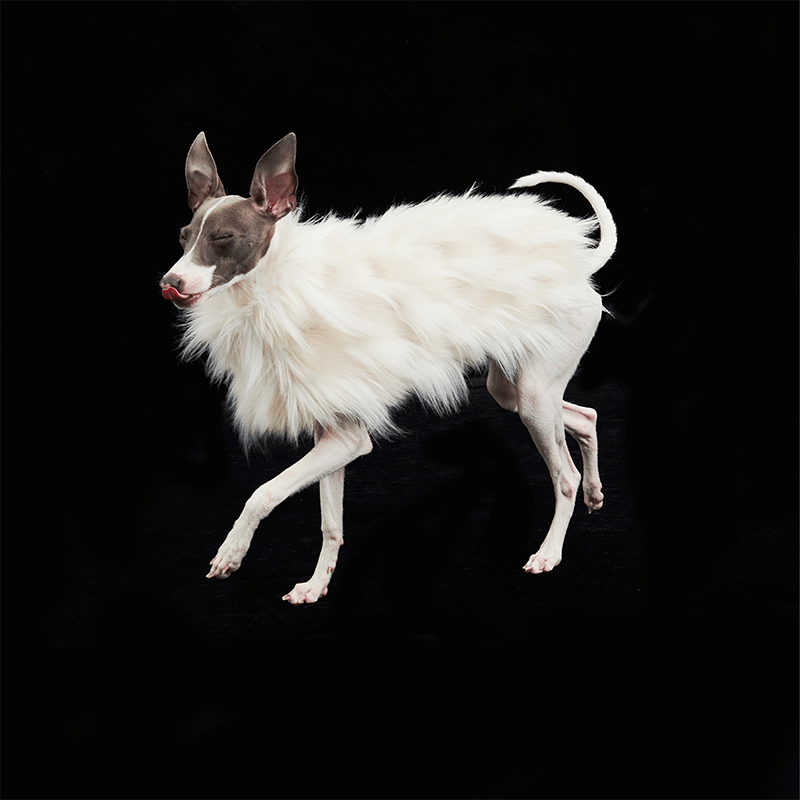 Luxury Dog Clothes Faux Fur Cape for Italian Greyhound Whippet - PIKAPIKA