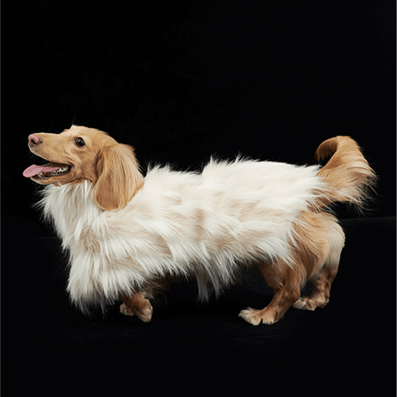 Luxury Dog Clothes Faux Fur Cape for Italian Greyhound Whippet - PIKAPIKA