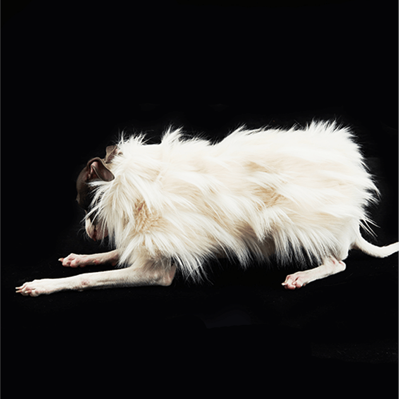 Luxury Dog Clothes Faux Fur Cape for Italian Greyhound Whippet - PIKAPIKA