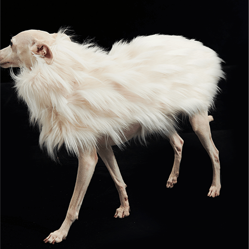 Luxury Dog Clothes Faux Fur Cape for Italian Greyhound Whippet - PIKAPIKA