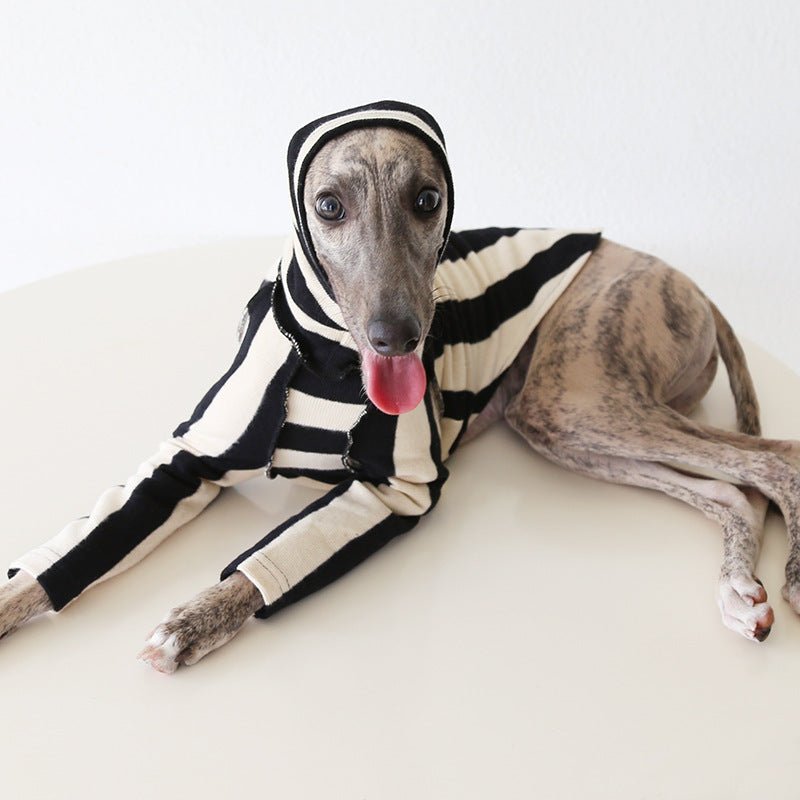 Milan Stripe Warm Fleece Italian Greyhound Whippet Dog Clothes - PIKAPIKA