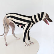 Milan Stripe Warm Fleece Italian Greyhound Whippet Dog Clothes - PIKAPIKA