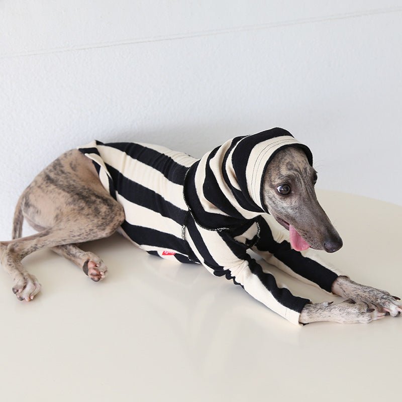 Milan Stripe Warm Fleece Italian Greyhound Whippet Dog Clothes - PIKAPIKA
