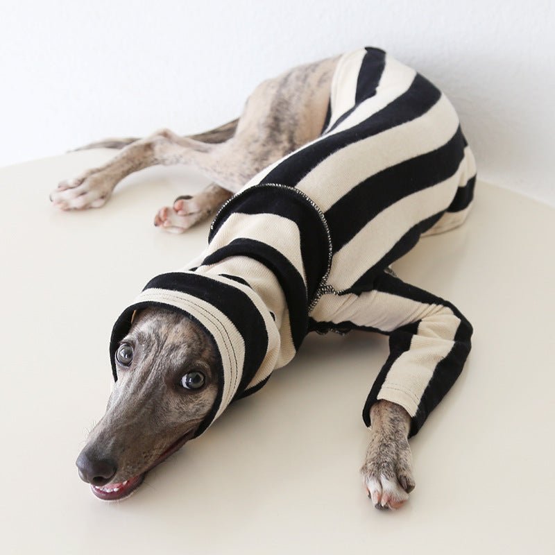 Milan Stripe Warm Fleece Italian Greyhound Whippet Dog Clothes - PIKAPIKA