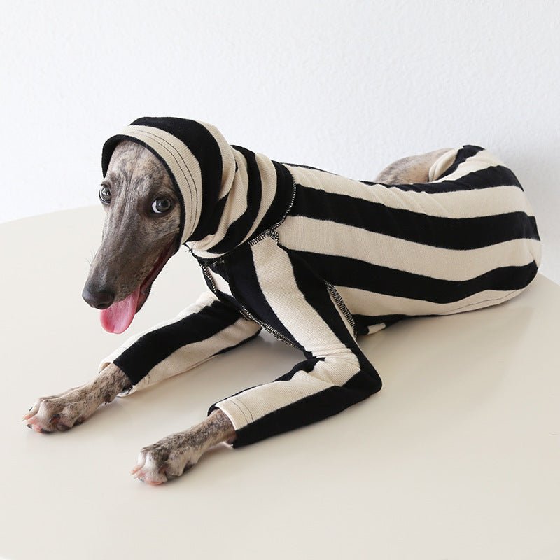 Milan Stripe Warm Fleece Italian Greyhound Whippet Dog Clothes - PIKAPIKA