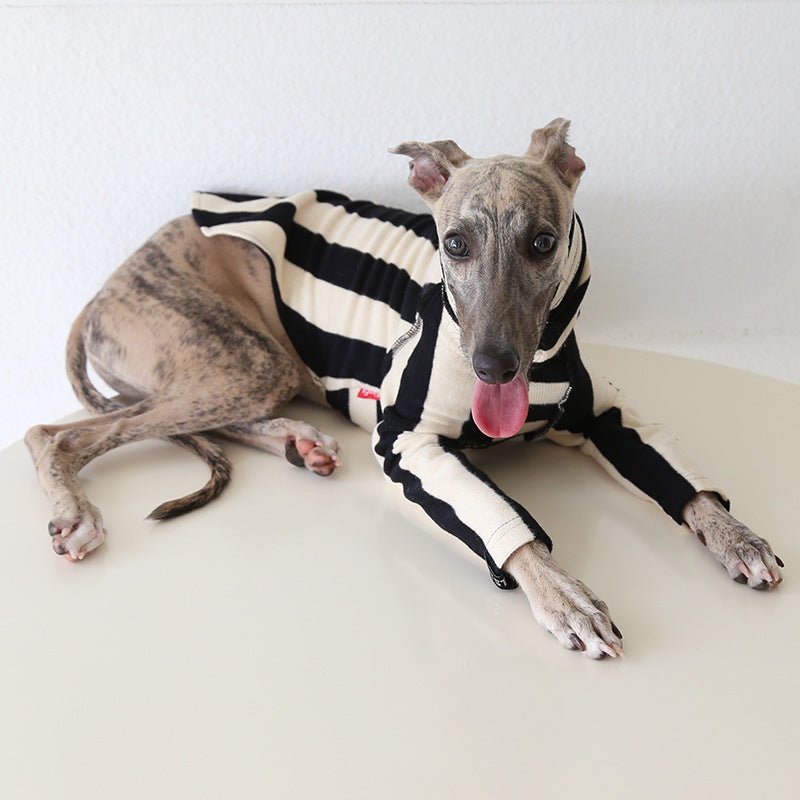 Milan Stripe Warm Fleece Italian Greyhound Whippet Dog Clothes - PIKAPIKA