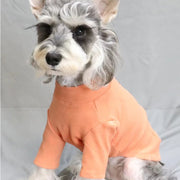 Multicolor All Size T-shirt Dog Clothes - PIKAPIKA